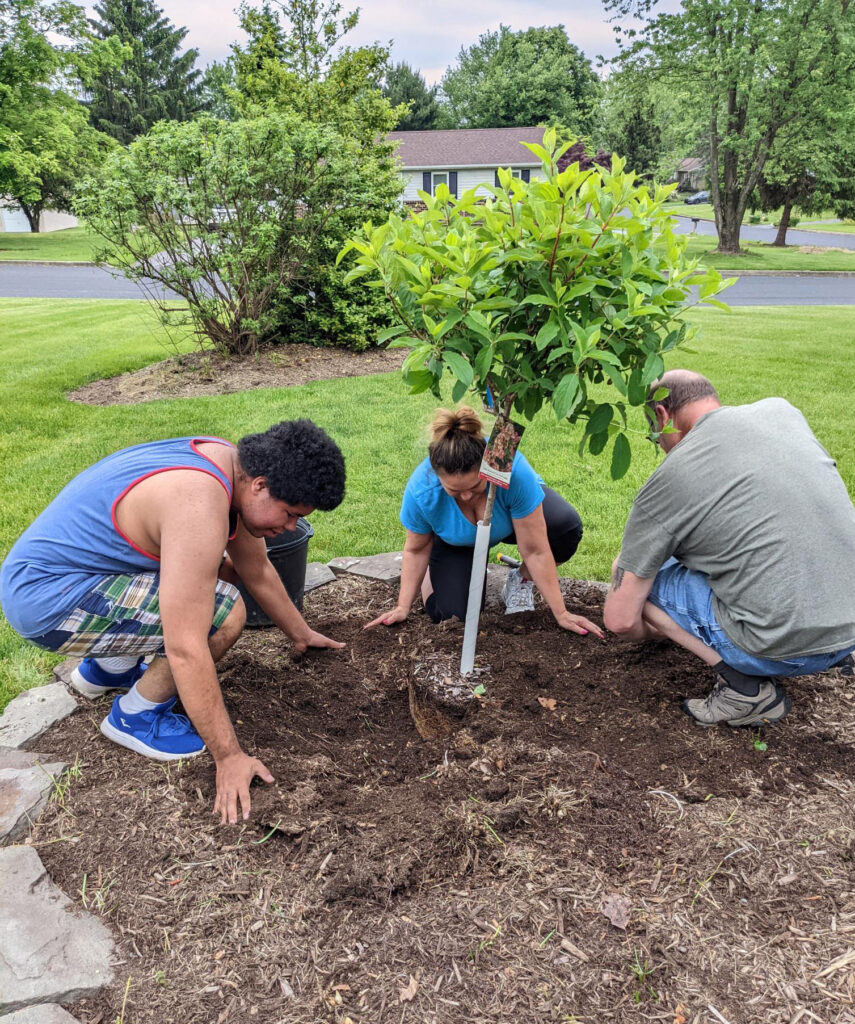 UCP Central PA | Life without limits for people with disabilities